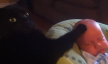 maca i beba
