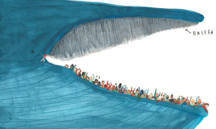 darujemo-vam-predivnu-slikovnicu-plavetni-kit