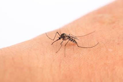 kako se obraniti od komaraca