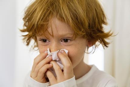 alergija ili prehlada