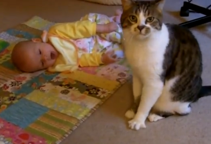 beba i maca