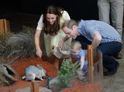Princ William i Catherine i prince George u Zoo vrtu u Sydneyu