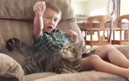 mačka spasila dječaku život