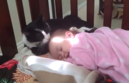 maca i beba