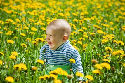 beba u cvijeću