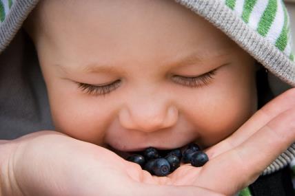 beba jede borovnice