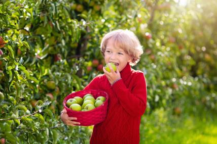 Kako prepoznati tretirano voće i povrće?