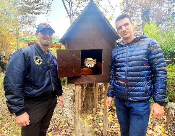 sinkovici-objavili-male-crvene-pande-zvat-ce-se-dudek-i-regica