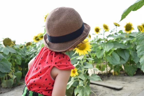 dijete na suncu upija vitamin D