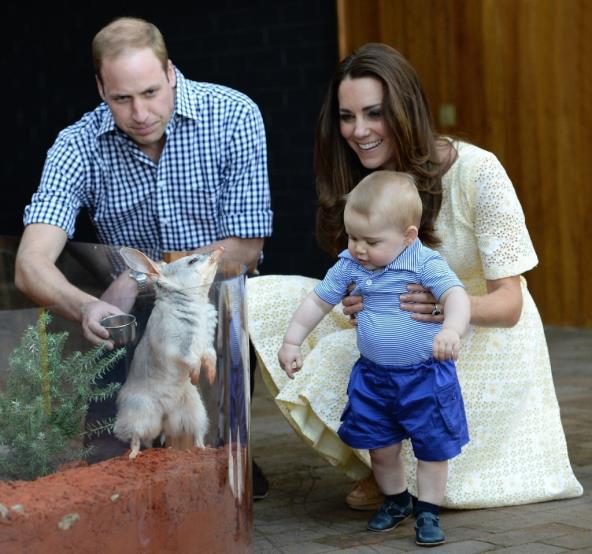 Princ William i Catherine i prince George u Zoo vrtu u Sydneyu