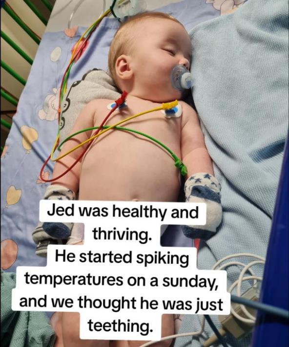 Jed 1.JPG