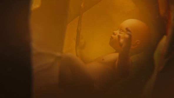 fetus.jpg